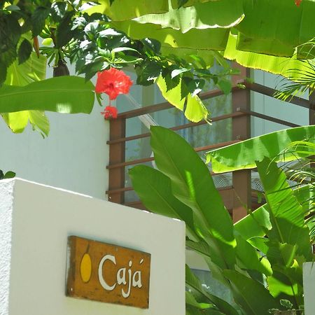 Hôtel La Reserve à Praia de Pipa Extérieur photo